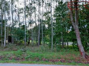 Prodej komerčního pozemku, Běleč, 945 m2