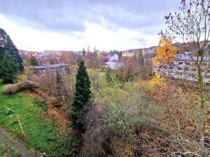 Prodej bytu 2+1, Příbram, Plzeňská, 53 m2