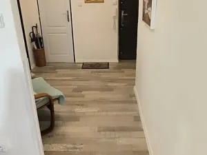 Prodej bytu 2+1, Ostrava, Mánesova, 65 m2