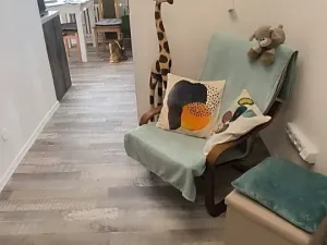 Prodej bytu 2+1, Ostrava, Mánesova, 65 m2