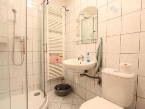 Pronájem bytu 1+kk, Brno - Staré Brno, Pekařská, 18 m2