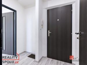 Pronájem bytu 2+1, Plzeň - Východní Předměstí, Táborská, 54 m2