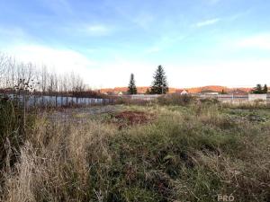 Pronájem komerčního pozemku, Třinec - Lyžbice, 6544 m2