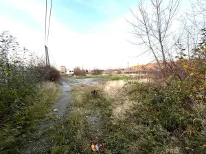 Pronájem komerčního pozemku, Třinec - Lyžbice, 6544 m2