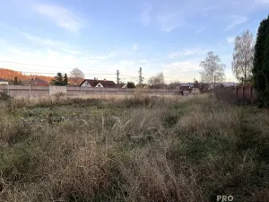 Pronájem komerčního pozemku, Třinec - Lyžbice, 6544 m2