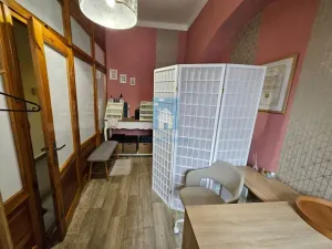 Pronájem obchodního prostoru, Plzeň, sady 5. května, 15 m2