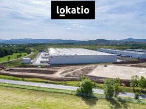 Pronájem skladu, Krupka, Kateřinská, 4245 m2