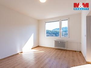 Pronájem bytu 1+1, Děčín, Na Pěšině, 34 m2