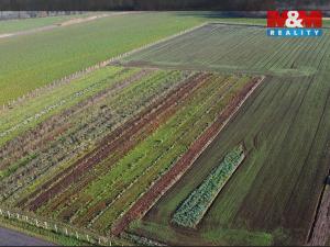 Prodej pole, Nové Dvory, 9979 m2