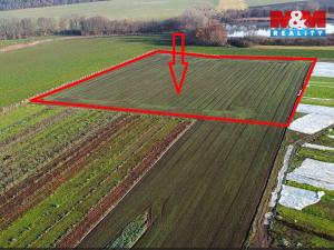 Prodej pole, Nové Dvory, 9979 m2