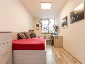 Pronájem bytu 3+kk, České Budějovice - České Budějovice 3, Riegrova, 80 m2