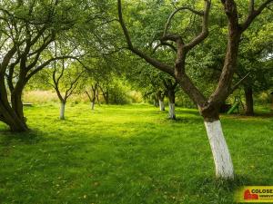 Prodej rodinného domu, Kunštát - Rudka, 138 m2
