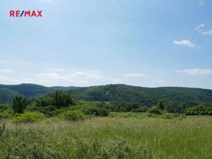 Prodej louky, Štěchovice, 4332 m2