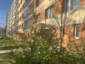 Prodej bytu 3+1, Liberec - Liberec X-Františkov, Jáchymovská, 84 m2