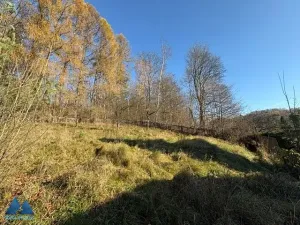 Prodej rodinného domu, Benešov u Semil, 73 m2