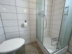 Pronájem bytu 1+kk, Praha - Nusle, U křížku, 31 m2