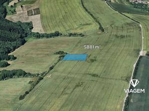 Prodej podílu pole, Šarovy, 1470 m2