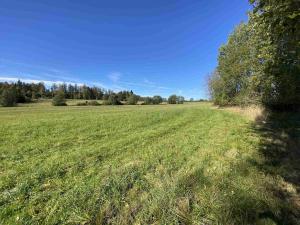 Prodej pole, Nový Rychnov - Čejkov, 7207 m2