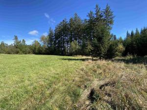 Prodej pole, Nový Rychnov - Čejkov, 7207 m2