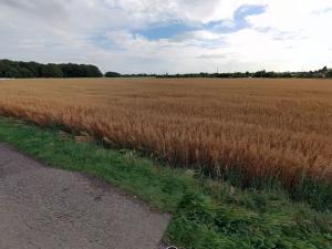 Prodej pozemku pro bydlení, Ostrava, 1164 m2