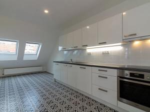 Pronájem atypického bytu, Praha, Na Švihance, 224 m2