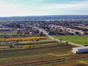 Prodej rodinného domu, Velké Bílovice, Čejkovská, 150 m2