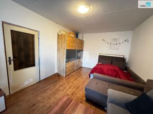 Prodej bytu 1+1, Plzeň - Severní Předměstí, Brněnská, 39 m2