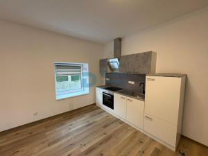 Pronájem bytu 1+kk, Doloplazy, 45 m2