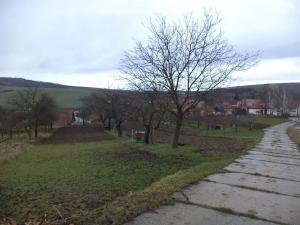 Dražba pole, Morkůvky, 6867 m2