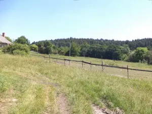Dražba louky, Přeštěnice, 2817 m2