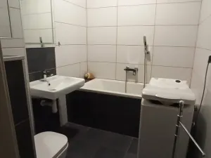 Pronájem bytu 1+kk, České Budějovice - České Budějovice 3, Riegrova, 40 m2