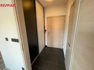 Pronájem bytu 1+kk, České Budějovice - České Budějovice 3, Riegrova, 40 m2