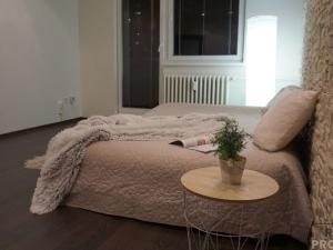 Pronájem bytu 2+1, Olomouc, Nešporova, 54 m2