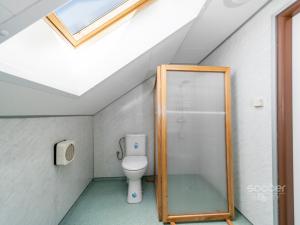 Pronájem chalupy, Dobrovice - Úherce, 180 m2