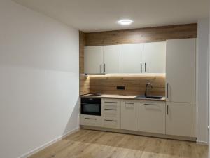 Pronájem bytu 1+kk, České Budějovice - České Budějovice 4, Vrbenská, 39 m2