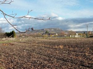 Prodej pozemku pro bydlení, Dolní Dunajovice, 1285 m2