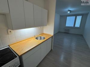 Pronájem bytu 2+kk, Most, Albrechtická, 40 m2