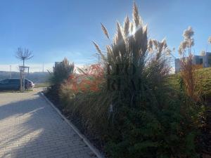 Pronájem bytu 1+kk, Praha - Lipence, Oddechová, 35 m2