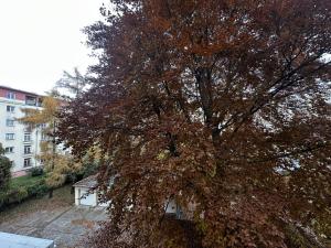 Pronájem bytu 3+1, Praha - Vršovice, Vršovická, 86 m2