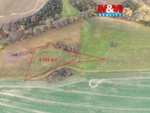 Prodej louky, Skuteč, 3101 m2