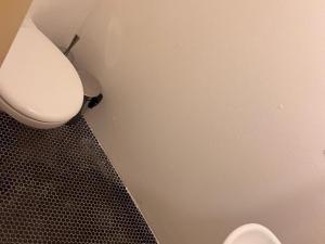 Pronájem bytu 2+1, Praha - Hradčany, Nový Svět, 60 m2