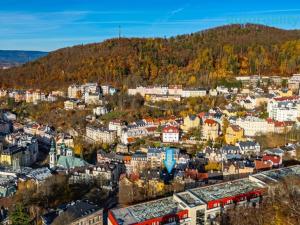 Pronájem apartmánu, Karlovy Vary, Libušina, 325 m2