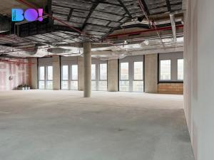 Pronájem komerční nemovitosti, Praha, Veletržní, 374 m2