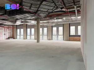 Pronájem komerční nemovitosti, Praha, Veletržní, 374 m2