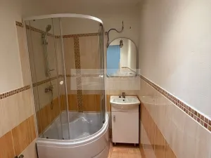 Pronájem bytu 1+1, Chomutov, Holešická, 42 m2