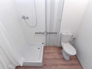 Prodej bytu 1+kk, Praha - Libeň, Zenklova, 19 m2