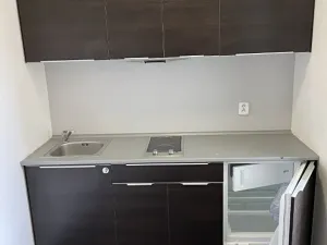 Pronájem bytu 2+1, Brno, Hlinky, 44 m2