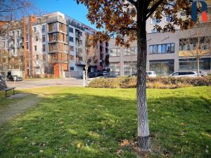 Prodej bytu 1+kk, Praha - Žižkov, Roháčova, 40 m2