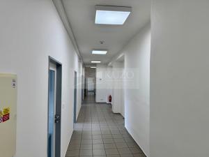 Pronájem obchodního prostoru, Mladá Boleslav - Mladá Boleslav II, Máchova, 291 m2