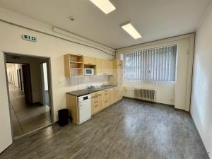 Pronájem obchodního prostoru, Mladá Boleslav - Mladá Boleslav II, Máchova, 291 m2